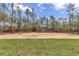 A view of the backyard and surrounding tree coverage of the property at 7117 Sw 131St Ave, Ocala, FL 34481