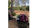 Close-up of a large flower pot with colorful flowers, and a flag at 9346 San Jose Blvd, Howey In The Hills, FL 34737