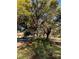 Scenic street view featuring mature trees and manicured landscaping at 9346 San Jose Blvd, Howey In The Hills, FL 34737