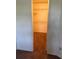 Walk-in closet with carpet floor and shelving for storage at 1013 S Hiawassee Rd # 3626, Orlando, FL 32835