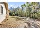 Backyard view featuring lush green trees and grass, offering a peaceful and private setting at 20240 Sw 95Th St, Dunnellon, FL 34431