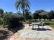 Outdoor patio with furniture, set on a stone patio with palm tree at 6832 Sw 93Rd Ave, Ocala, FL 34481