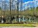 Dense wetlands scene with tall trees and water lilies reflecting the sky at 17519 Blessing Dr, Clermont, FL 34714