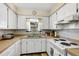 Compact kitchen features lots of counter space, bright white cabinets, and a garden view at 11207 Roberson Rd, Winter Garden, FL 34787