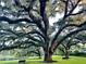 A tranquil park features majestic trees, a serene pond, and inviting benches for relaxation at 116 Crown Oaks Way # 116, Longwood, FL 32779