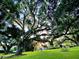 A large tree covered with Spanish moss and branches, overlooking a playground in a grassy park at 116 Crown Oaks Way # 116, Longwood, FL 32779