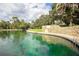 Scenic view of a large green pool with clear water, a stone wall, and surrounding trees under a partly cloudy sky at 116 Crown Oaks Way # 116, Longwood, FL 32779