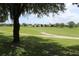Green backyard with a view of houses in the distance at 4110 Arlington Ridge Blvd, Leesburg, FL 34748