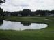 Picturesque view of the pond on the golf course, enhancing the property's serene setting at 4110 Arlington Ridge Blvd, Leesburg, FL 34748