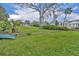 Expansive backyard with lush green grass and mature landscaping leading to the waterfront and boat dock at 443 Lakewood Dr, Winter Park, FL 32789