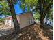 View of the house backyard with trees at 8040 Equitation Ct, Orlando, FL 32818