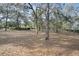 Spacious backyard featuring mature trees and a blanket of fallen leaves at 2525 W Ponkan Rd, Apopka, FL 32712
