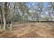 Large backyard lot with scattered trees and dried leaves, providing ample privacy at 2525 W Ponkan Rd, Apopka, FL 32712