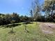 Large grassy backyard with young trees and open space at 3522 Wd Judge Dr, Orlando, FL 32808