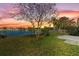 A well-maintained lawn leads to a picturesque view of the lake and palm trees at sunset at 4916 Cedarstone Lane, Orlando, FL 32822