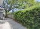 Well-maintained backyard featuring a lush green hedge, mature tree, and concrete walkway at 500 E Crystal Lake St, Orlando, FL 32806
