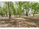 Lush backyard with mature trees and a fire pit create a peaceful outdoor setting at 8176 Emerald Forest Ct, Sanford, FL 32771