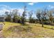 Expansive backyard showcasing lush green grass, mature trees, and plenty of space for outdoor activities at 1212 Bear Oak Ln, Deland, FL 32720