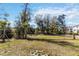 Large, grassy backyard with a mix of mature trees and young saplings, offering privacy and a natural setting at 1212 Bear Oak Ln, Deland, FL 32720