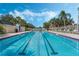 Bright blue swimming pool featuring lane markers, surrounded by lounge chairs and swaying palm trees at 12016 Lorenza Ln, Orlando, FL 32827