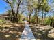 Scenic walkway leading to the home, surrounded by lush trees and landscaping at 1525 Oakwood Ct, Apopka, FL 32703