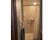 Tiled walk-in shower with hand rail and curtain at 15683 Sw 46Th Cir, Ocala, FL 34473