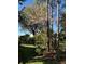 Lush yard with pink flowering tree adding beauty and shade to the greenery and natural landscape at 6244 Little Lake Sawyer Dr, Windermere, FL 34786