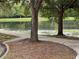 Picturesque lake view featuring mature trees, mulch and a paved path with water feature at 802 Rosa St, Celebration, FL 34747