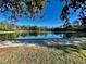 Scenic view of community pond surrounded by mature trees, ideal for relaxing walks at 802 Rosa St, Celebration, FL 34747