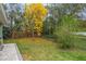 Nicely maintained lawn with wrought iron fence and mature shade tree at 10290 Cypress Vine Dr, Orlando, FL 32827