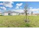 Spacious backyard with lush green grass, newly planted tree and view of neighboring residences at 304 Towns Cir, Haines City, FL 33844