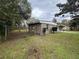The backyard has a chain link fence and is overgrown at 11618 Churchill St, Orlando, FL 32817