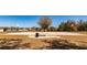 Outdoor basketball court with two hoops, a bench, and mature shade trees at 2005 Blackbird Dr, Apopka, FL 32703