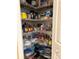 Organized pantry features wire shelving maximizing storage space for food and household items at 203 Flounder Pl, Kissimmee, FL 34759