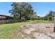 Wide backyard with mature trees and grass at 509 Nicole Blvd, Ocoee, FL 34761