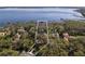 Aerial view of a waterfront property surrounded by lush trees along a lake at 10411 Hart Branch Cir, Orlando, FL 32832