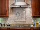 Close up of a gourmet kitchen cooktop with granite countertops and decorative backsplash at 10411 Hart Branch Cir, Orlando, FL 32832