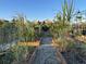 Community garden showcasing plants, raised beds, and clear sky at 11137 Lore Way, Orlando, FL 32832
