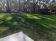 Expansive backyard featuring a mature tree line and lush green lawn at 12793 Sw 43Rd Cir, Ocala, FL 34473