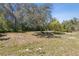 Lush backyard surrounded by large, mature trees, offering a private and serene outdoor retreat at 27630 Jean Ave, Paisley, FL 32767
