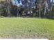 Expansive backyard lawn with lush greenery and mature trees offering a peaceful setting at 13215 Sw 41St Ct, Ocala, FL 34473