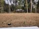 Large backyard featuring newly laid sod and a backdrop of lush trees and vegetation, with a garden hose nearby at 13215 Sw 41St Ct, Ocala, FL 34473