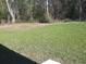 Lush green backyard providing a serene outdoor space with mature trees, creating shade at 13215 Sw 41St Ct, Ocala, FL 34473