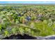 Beautiful aerial view of a home surrounded by lush green trees and a pond with water lilies at 1475 Warrior Trl, Enterprise, FL 32725