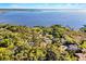 Stunning aerial view of waterfront property with lush greenery and serene lake views at 1475 Warrior Trl, Enterprise, FL 32725