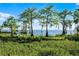 Beautiful lakefront with views of trees, sky, and green grass at 1475 Warrior Trl, Enterprise, FL 32725