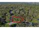 Beautiful wooded homesite highlighted in red boundary lines, creating a canvas for a dream custom home at 140 Sweet Bay Cir, Lake Mary, FL 32746