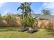 Relaxing backyard featuring lounge chairs and lush tropical plants, creating a private retreat at 1855 Cloverlawn Ave, Orlando, FL 32806