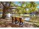 Scenic pond view with bench seating nestled beneath a shady tree, offering a peaceful community space at 19914 Villa Creek Dr # 105, Orlando, FL 32821