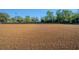 Spacious equestrian arena with meticulously maintained footing and secure perimeter fencing at 31707 Orange St, Sorrento, FL 32776